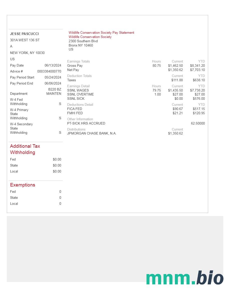 Wildlife Conservation Society pay statement template in Word and PDF formats